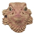 thumbnail image 1 of Couvre-visage de Lézard Cosplay Couvre-Chef Animal Accessoires de Cosplay de Performance, 1 of 8