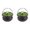 II-Black Green, variant on 2026 New Halloween Cast Iron Cauldron Pot, Creepy Witches Cauldron with Green Lid, Black Cauldron Slow Cooker for Cooking and Halloween Tabletop Decoration, 2pc
