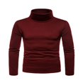 thumbnail image 2 of Chandail à Col Roulé pour Homme, Décontracté, Basique, Coupe Ajustée, Léger, Manches Longues, T-Shirt, Gris Foncé, TTG, 2 of 5