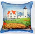 thumbnail image 1 of Betsy Drake ZP725 Oreiller de Jet de Phare Nubble&44; 20 x 24 Po., 1 of 1