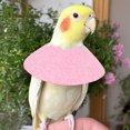thumbnail image 5 of Pet Parrot E Collars Feather Plucking Collar Protective Recovery For Lovebird Agapornis C, 5 of 5