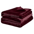 thumbnail image 1 of Unique Bargains Flannel Fleece Blanket Soft Warm Wide Hemmed, 1 of 10