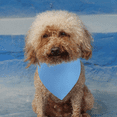 thumbnail image 4 of Dog Bandanas Washable Cotton Triangle Dog Scarfs Reversible Cotton Scarf for Small Medium Large Pets, 4 of 5