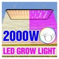 thumbnail image 2 of Dernières Lampes de Culture Led à Spectre Complet, Ampoule pour Plantes, Lumière de Croissance pour Plantes d'Intérieur en Serre, Plusieurs Couleurs Offertes, 2 of 7
