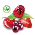 thumbnail image 2 of REALFRUIT Gummies Medley Candy, Dare Real Fruit, 1KG, 2 of 9