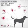 thumbnail image 4 of K9 Advantix II Flea and Tick Treatment for Large Dogs (6 doses), 4 of 7