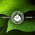 thumbnail image 4 of Nabob Organic Gourmet Blend Ground Coffee, Medium, 4 of 13