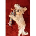 thumbnail image 3 of Multipet Tie Dye Loofa Jouet pour chien Taille M, 3 of 9