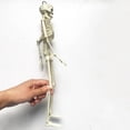 thumbnail image 4 of SLYNSHome Halloween Skeleton Decorations,Artifical Full Body Skeleton for Haunted House Props Decorations, 4 of 9