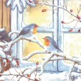 thumbnail image 1 of Set of 12 Large Birds on Branch Napkin 20 Pack, 1 of 1