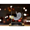 thumbnail image 5 of Stomach Art | 3D Engraved Crystal Keepsake | Gift/Decor | Collectible | Souvenir | Personalized 3d Crystal Photo Gift | Customized 3d Photo Engraved Crystal, 5 of 5