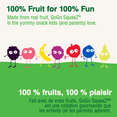 thumbnail image 5 of GoGo squeeZ Dinosaurs - Apple Apple, Mango Guava, Peach, 5 of 5