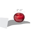 thumbnail image 5 of Macintosh Apple, 5 of 5