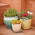 thumbnail image 3 of Support de Jardinière Rond Mobile avec Roues pour un Transport et une Présentation Sans Effort à l'Intérieur et à l'Extérieur, 3 of 5