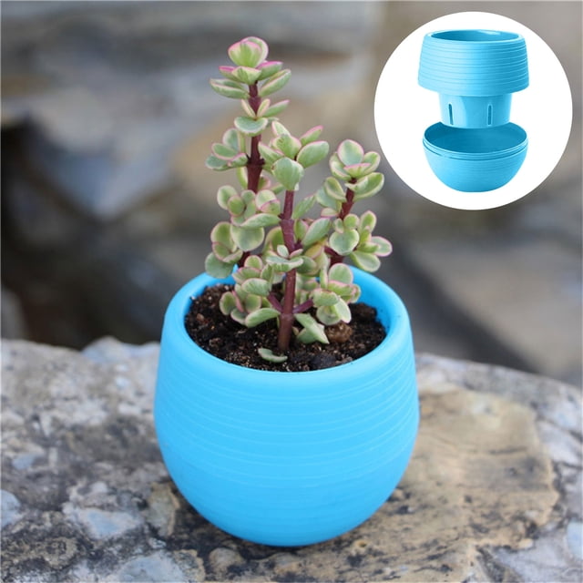 Agiferg Mini Pots de Fleurs Boule en Pierre Succulentes Petits Pots de Fleurs Pots Arc-en-Ciel