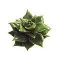 thumbnail image 1 of Coofit Artificial Succulent DIY Realistic Mini Unpotted Succulent Artificial Plant, 1 of 8