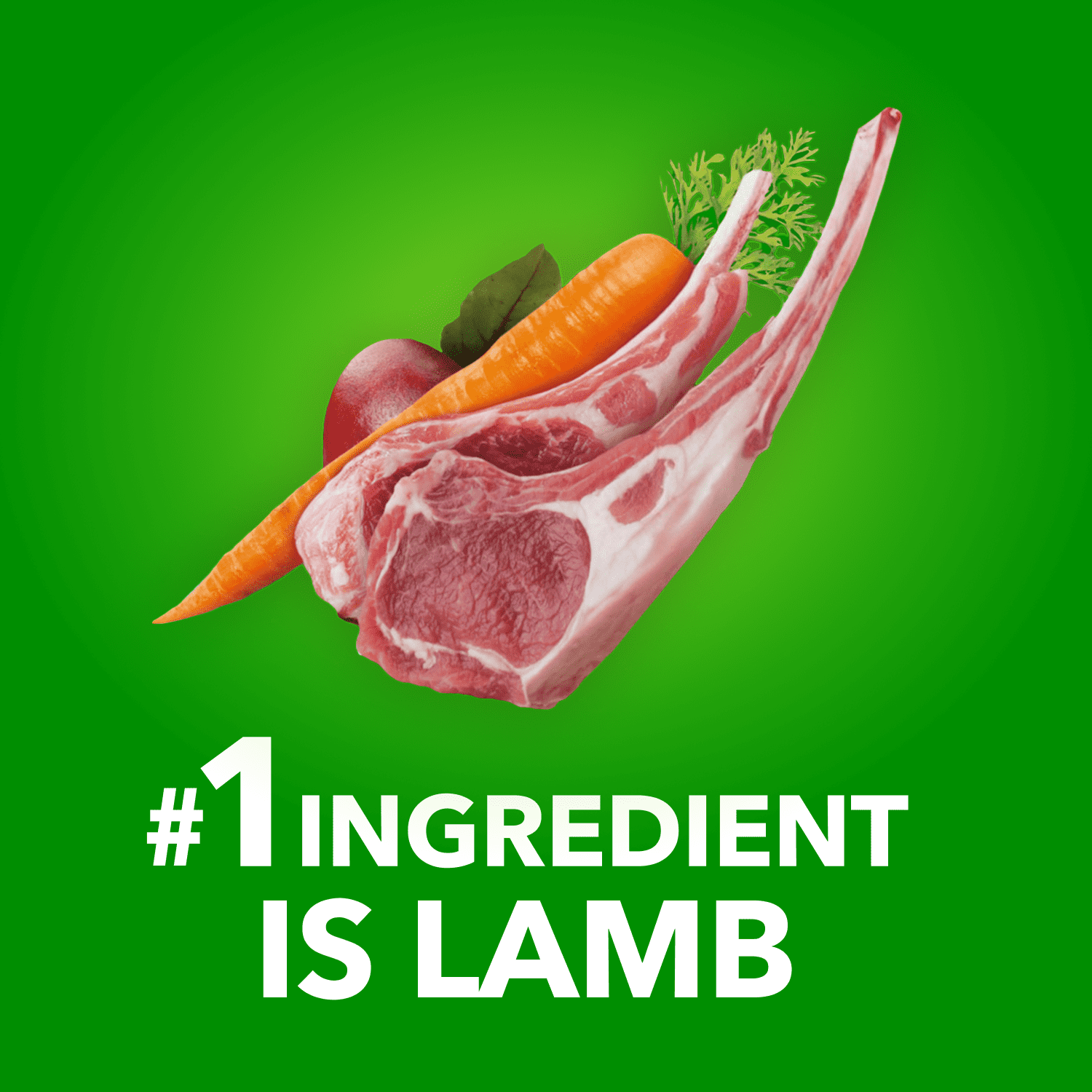 Iams Mini Bouchées Nourriture Sèche pour Chien Adulte Recette à l'Agneau et au Riz 1.5kg