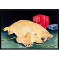 thumbnail image 1 of Carolines Treasures SS8576JMAT Golden Retriever Paillasson - 24 x 36 Po., 1 of 4