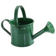 thumbnail image 1 of Garden Small Water Spraying Pot Flower Kettle Metal Watering Can Sprinkled, 1 of 1