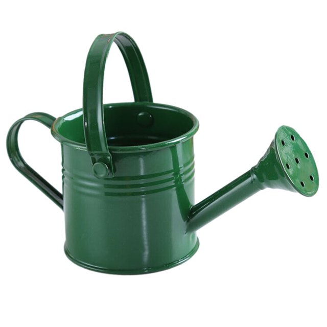 Garden Small Water Spraying Pot Flower Kettle Metal Watering Can Sprinkled