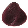 thumbnail image 2 of Beautiful Collection Semi-Permanent Haircolor 17W Rosewood Brown, 2 of 2