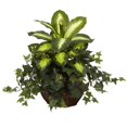 thumbnail image 1 of Dieffenbachia & Ivy with Decorative Planter, 1 of 1