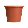 thumbnail image 1 of The HC Companies 12 Inch Plastic Outdoor Classic Flower Pot Planter, Terra Cotta, 1 of 5