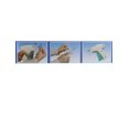 thumbnail image 5 of Unique Bargains Gray Green Plastic Commodity Price Labelling Tagging Gun w Lifting Rope, 5 of 5