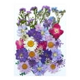 thumbnail image 1 of Fleurs Séchées et Embossées pour Kit de Résine Bougies et Bricolage, 1 of 1
