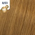 thumbnail image 2 of Koleston Perfect ME+ Permanent Color Collection - 8/03 Light Blonde/Natural Gold, 2 of 2