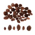 thumbnail image 1 of veasfak 50 Pieces Assorted Size Mini Decorative cone Cones for Vase Bowl Filler, 1 of 9