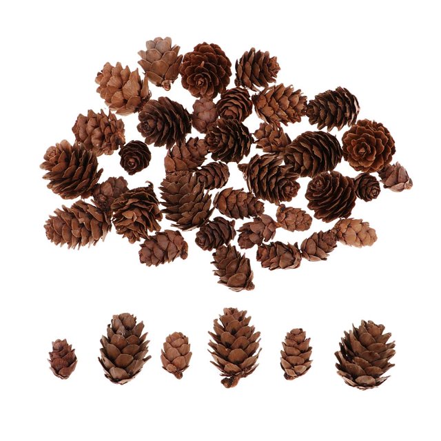 veasfak 50 Pieces Assorted Size Mini Decorative cone Cones for Vase Bowl Filler