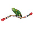 thumbnail image 2 of Jouet, Corde d'Escalade Colorée pour Oiseaux, pour Oiseaux m, 2 of 8