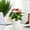 C, variante sur Tranfacy Décorations de Maison, Vase de Table Intérieur, Pot de Fleurs en Plastique Style Moderne pour Étagère Table de Cheminée Table Basse Décoration de Maison