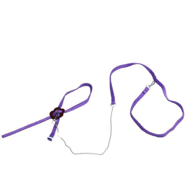 TIMIFIS Bearded Dragon Leash Adjustable Reptile Lizard Harness Leash Adjustable Hauling Cable Rope PP Reptile Tank Accessories ummer