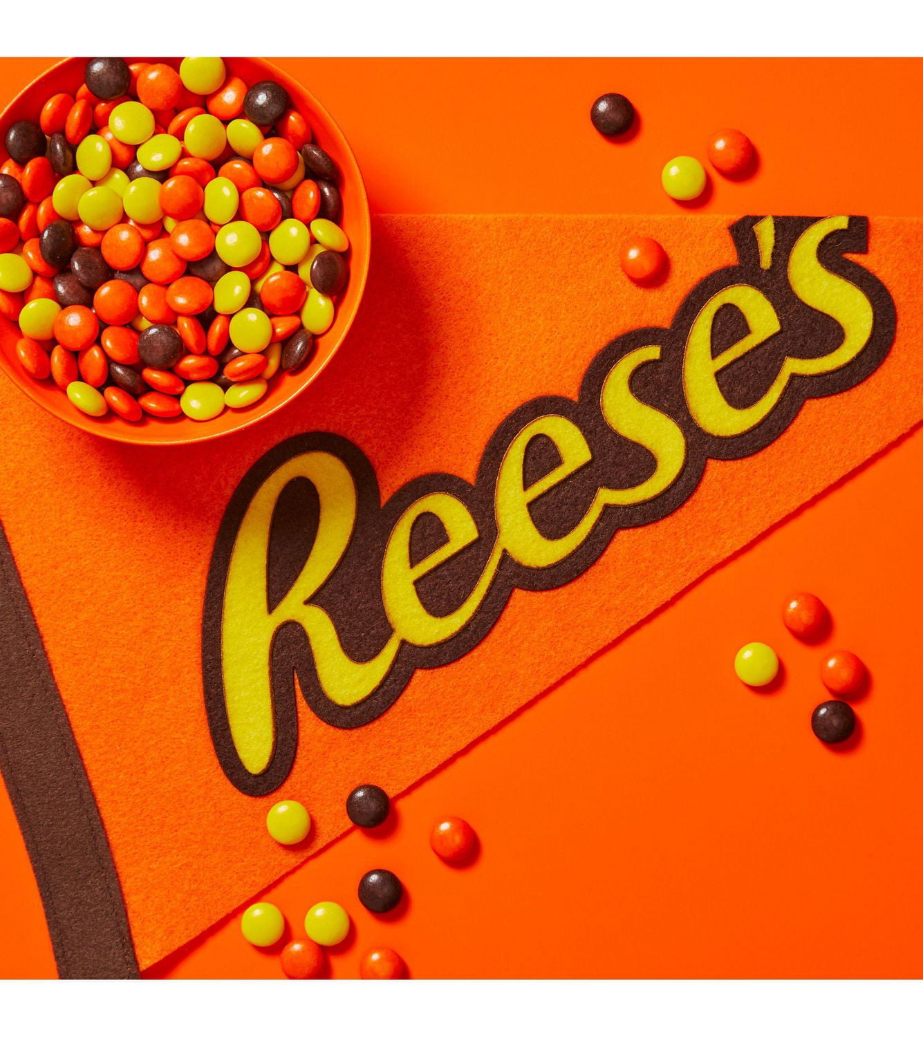Friandises au beurre d'arachides REESE'S PIECES, 230 g