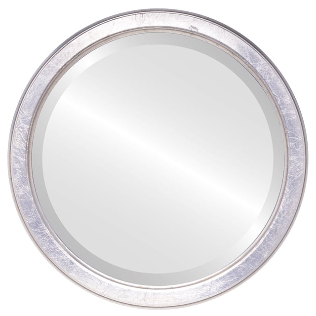 Toronto Framed Mirror - Silver Leaf with Brown Antique