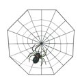 thumbnail image 1 of Fake Spider Practical Jokes Props Realistic Plastic Spider With Spider Web for Halloween Party Decoration (Black), 1 of 2