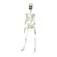 thumbnail image 1 of Halloween Skeletons Life Size,Realistic Human Skeleton Full Body,Movable Posable Joints Skeleton,Creepy Halloween Plastic Skeleton for Graveyard Decorations,Haunted House Props Indoor/Outdoor Decor, 1 of 9