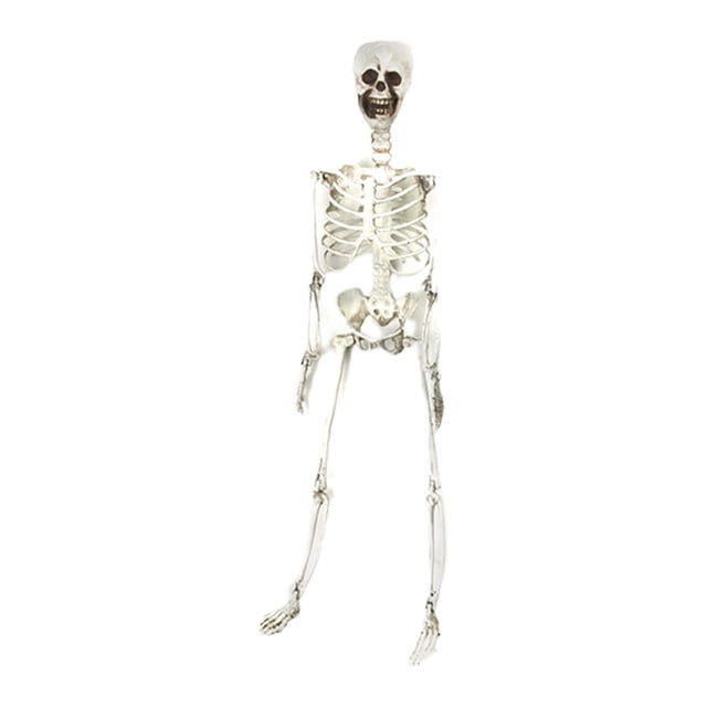 Halloween Skeletons Life Size,Realistic Human Skeleton Full Body,Movable Posable Joints Skeleton,Creepy Halloween Plastic Skeleton for Graveyard Decorations,Haunted House Props Indoor/Outdoor Decor