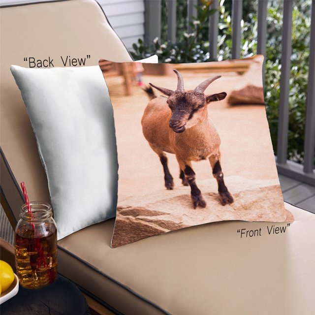Ahgly Company Animals Goat Coussin d'Extérieur, 18 Pouces par 18 Pouces