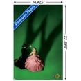 thumbnail image 2 of Wicked - Fiche d'introduction, 2 of 4