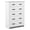 White, variant on Costway 5 Drawer Chest Storage Dresser Tall Cabinet Organizer Bedroom Hallway White