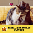 thumbnail image 4 of Temptations Tantalizing Turkey Flavour Soft & Crunchy Adult Cat Treats, 4 of 10
