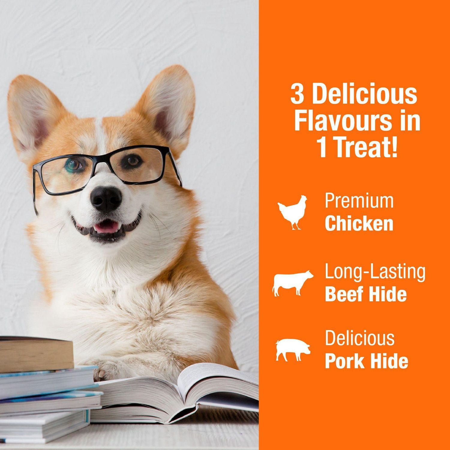 Good ’n’ Fun Sucettes Doubles Triple Saveur avec Poulet, Gâterie pour tous les chiens, 155g