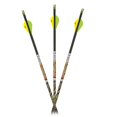 thumbnail image 1 of Carbon Express 50983 Mayhem SDS Hunter 250 - 6Pk Arrows, 1 of 2