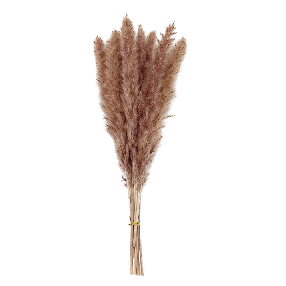 Flower Arrangement Dried Pampas Grass Real Plants Natural Herb Bouquet For Wedding Home Decoration Net Red Little Reed