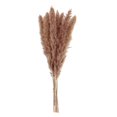 thumbnail image 1 of Flower Arrangement Dried Pampas Grass Real Plants Natural Herb Bouquet For Wedding Home Decoration Net Red Little Reed, 1 of 10