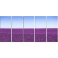 thumbnail image 2 of Lavender Flowers with Blue Horizon - Oversized Landscape Wall Art Print, 2 of 3