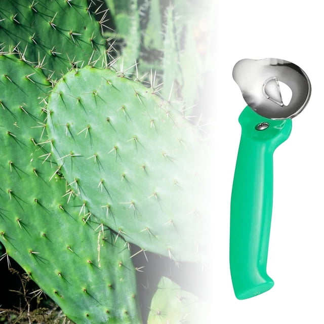 Cactus Peeler Spoon Multifunctional Long Handled Kitchen Peeler Ideal for Cooking and Food Preparation
